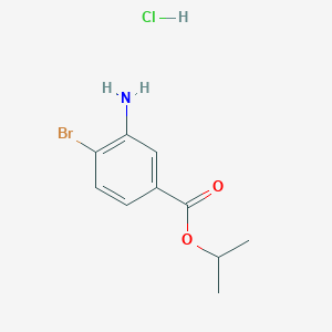 molecular formula C10H13BrClNO2 B8029051 Propan-2-yl 3-amino-4-bromobenzoate hydrochloride 