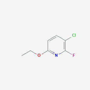 molecular formula C7H7ClFNO B8029363 3-Chloro-6-ethoxy-2-fluoropyridine 