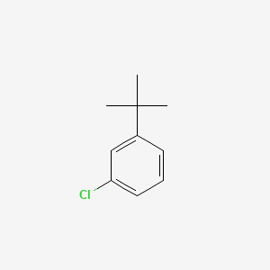 molecular formula C10H13Cl B8029616 m-Tert-butyl chlorobenzene CAS No. 3972-55-2