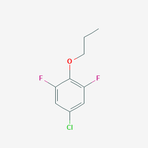 molecular formula C9H9ClF2O B8029635 5-Chloro-1,3-difluoro-2-propoxybenzene CAS No. 1881294-06-9