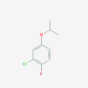 molecular formula C9H10ClFO B8029688 2-Chloro-1-fluoro-4-(propan-2-yloxy)benzene 