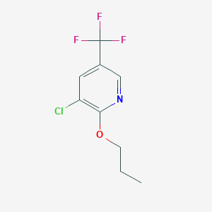 molecular formula C9H9ClF3NO B8031338 3-Chloro-2-propoxy-5-(trifluoromethyl)pyridine 