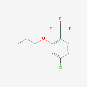molecular formula C10H10ClF3O B8031582 4-Chloro-2-propoxy-1-(trifluoromethyl)benzene 