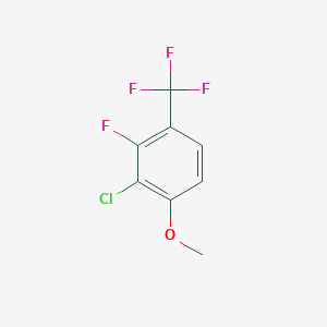 molecular formula C8H5ClF4O B8031665 2-Chloro-3-fluoro-1-methoxy-4-(trifluoromethyl)benzene 