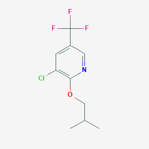 molecular formula C10H11ClF3NO B8031676 3-Chloro-2-(2-methylpropoxy)-5-(trifluoromethyl)pyridine CAS No. 1881295-26-6