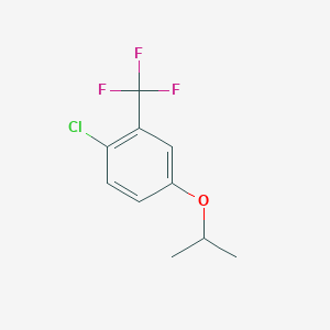 molecular formula C10H10ClF3O B8031784 1-Chloro-4-(propan-2-yloxy)-2-(trifluoromethyl)benzene 