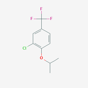 molecular formula C10H10ClF3O B8031786 2-Chloro-1-(propan-2-yloxy)-4-(trifluoromethyl)benzene 