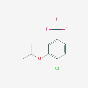 molecular formula C10H10ClF3O B8031787 1-Chloro-2-(propan-2-yloxy)-4-(trifluoromethyl)benzene 