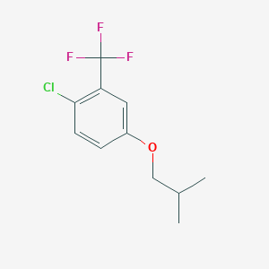molecular formula C11H12ClF3O B8031854 1-Chloro-4-(2-methylpropoxy)-2-(trifluoromethyl)benzene 