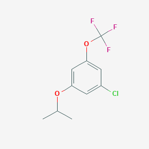 molecular formula C10H10ClF3O2 B8031871 1-Chloro-3-(propan-2-yloxy)-5-(trifluoromethoxy)benzene 