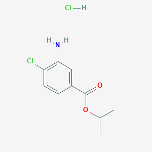 molecular formula C10H13Cl2NO2 B8031892 Propan-2-yl 3-amino-4-chlorobenzoate hydrochloride 