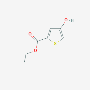 molecular formula C7H8O3S B8032480 Ethyl 4-hydroxythiophene-2-carboxylate 