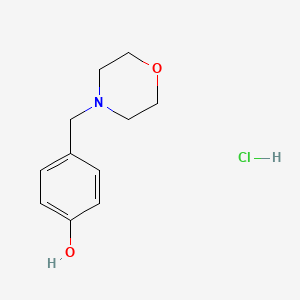 molecular formula C11H16ClNO2 B8033157 4-(Morpholin-4-ylmethyl)phenol hydrochloride 