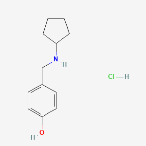 molecular formula C12H18ClNO B8033164 4-[(Cyclopentylamino)methyl]phenol hydrochloride 
