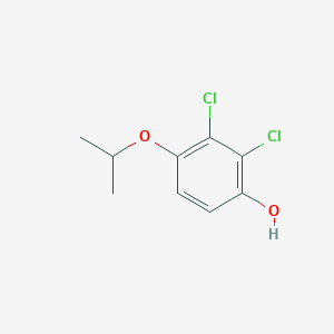 molecular formula C9H10Cl2O2 B8033302 2,3-Dichloro-4-(propan-2-yloxy)phenol 