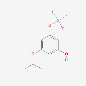 molecular formula C10H11F3O3 B8033543 3-(Propan-2-yloxy)-5-(trifluoromethoxy)phenol 