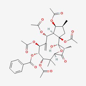 molecular formula C37H46O15 B8033881 甘遂宁A 