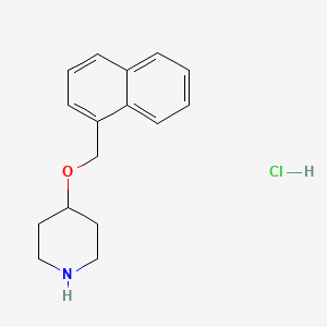 molecular formula C16H20ClNO B8035029 4-(Naphthalen-1-ylmethoxy)piperidine;hydrochloride 