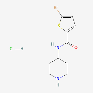 molecular formula C10H14BrClN2OS B8035107 5-Bromo-N-(piperidin-4-yl)thiophene-2-carboxamide hydrochloride 