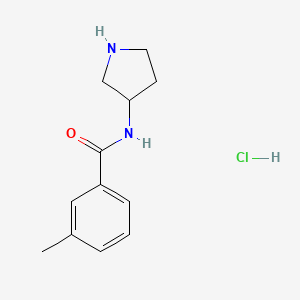 molecular formula C12H17ClN2O B8035121 3-Methyl-N-(pyrrolidin-3-yl)benzamide hydrochloride 