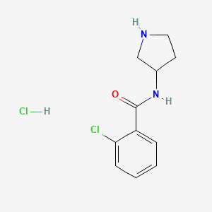 molecular formula C11H14Cl2N2O B8035148 2-Chloro-N-(pyrrolidin-3-yl)benzamide hydrochloride 