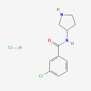 molecular formula C11H14Cl2N2O B8035162 3-Chloro-N-(pyrrolidin-3-yl)benzamide hydrochloride 