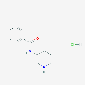 molecular formula C13H19ClN2O B8035174 3-Methyl-N-(piperidin-3-yl)benzamide (HCl) 