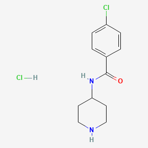 molecular formula C12H16Cl2N2O B8035186 4-Chloro-N-piperidin-4-ylbenzamide HCl 