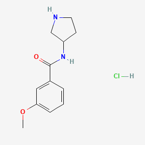 3-Methoxy-N-(pyrrolidin-3-yl)benzamide hydrochloride