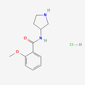 molecular formula C12H17ClN2O2 B8035201 2-甲氧基-N-3-吡咯烷基苯甲酰胺盐酸盐 