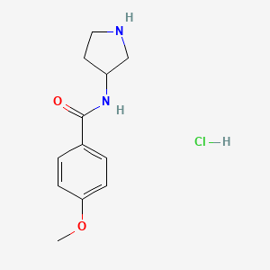 molecular formula C12H17ClN2O2 B8035206 4-Methoxy-N-(pyrrolidin-3-yl)benzamide hydrochloride 