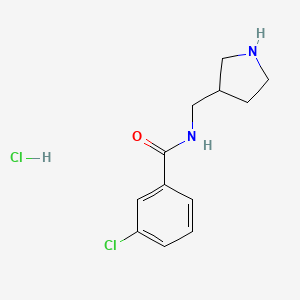 molecular formula C12H16Cl2N2O B8035255 3-chloro-N-(pyrrolidin-3-ylmethyl)benzamide hydrochloride 