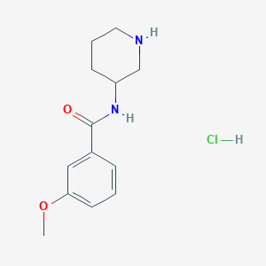 molecular formula C13H19ClN2O2 B8035628 3-Methoxy-N-(piperidin-3-yl)benzamide hydrochloride 