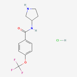 molecular formula C12H14ClF3N2O2 B8035656 N-(Pyrrolidin-3-yl)-4-(trifluoromethoxy)benzamide hydrochloride 