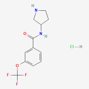 molecular formula C12H14ClF3N2O2 B8035659 N-(Pyrrolidin-3-yl)-3-(trifluoromethoxy)benzamide hydrochloride 