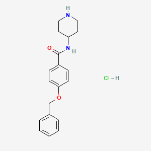 molecular formula C19H23ClN2O2 B8035720 4-(Benzyloxy)-N-(piperidin-4-yl)benzamide hydrochloride 