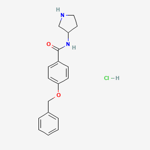molecular formula C18H21ClN2O2 B8035721 4-(Benzyloxy)-N-(pyrrolidin-3-yl)benzamide hydrochloride 