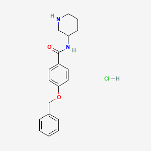 molecular formula C19H23ClN2O2 B8035727 4-(Benzyloxy)-N-(piperidin-3-yl)benzamide hydrochloride 
