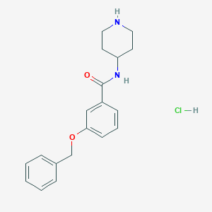 molecular formula C19H23ClN2O2 B8035733 3-(Benzyloxy)-N-(piperidin-4-yl)benzamide hydrochloride 