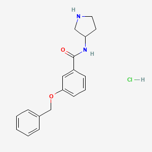 molecular formula C18H21ClN2O2 B8035736 3-(Benzyloxy)-N-(pyrrolidin-3-yl)benzamide hydrochloride 