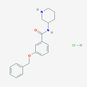molecular formula C19H23ClN2O2 B8035742 3-(Benzyloxy)-N-(piperidin-3-yl)benzamide hydrochloride 