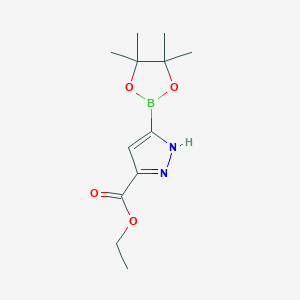 molecular formula C12H19BN2O4 B8036272 ethyl 5-(4,4,5,5-tetramethyl-1,3,2-dioxaborolan-2-yl)-1H-pyrazole-3-carboxylate 