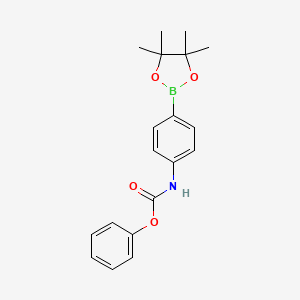 molecular formula C19H22BNO4 B8038595 Phenyl (4-(4,4,5,5-tetramethyl-1,3,2-dioxaborolan-2-yl)phenyl)carbamate 