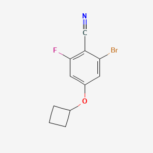 molecular formula C11H9BrFNO B8045588 2-Bromo-4-cyclobutoxy-6-fluorobenzonitrile 