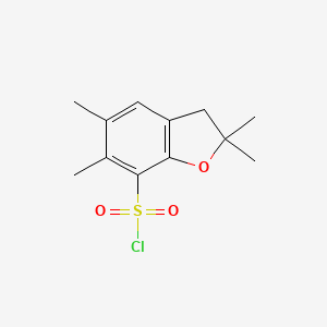 molecular formula C12H15ClO3S B8046609 2,2,5,6-tetramethyl-3H-1-benzofuran-7-sulfonyl chloride 