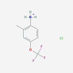 molecular formula C8H9ClF3NO B8047188 2-Methyl-4-(trifluoromethoxy)benzenaminium chloride 