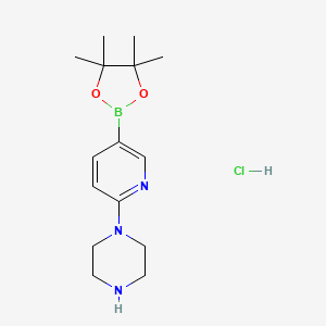 molecular formula C15H25BClN3O2 B8047887 1-(5-(4,4,5,5-Tetramethyl-1,3,2-dioxaborolan-2-yl)pyridin-2-yl)piperazine hydrochloride 
