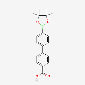 molecular formula C19H21BO4 B8048082 4'-Borono-[1,1'-biphenyl]-4-carboxylic acid pinacol ester 