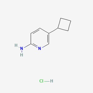 molecular formula C9H13ClN2 B8048608 5-Cyclobutylpyridin-2-amine;hydrochloride 