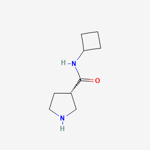 molecular formula C9H16N2O B8048672 (3S)-N-cyclobutylpyrrolidine-3-carboxamide 